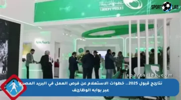نتائج قبول 2025.. خطوات الاستعلام عن فرص العمل في البريد المصري عبر بوابة الوظائف